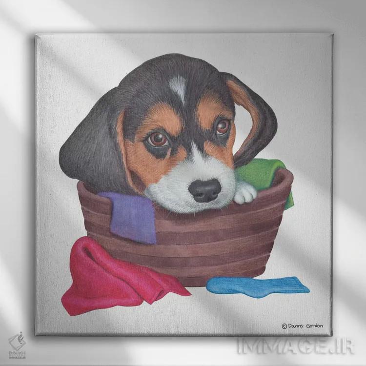 تابلو بیگل در سبد لباس اثر دنی گوردون - نمای روبهرو روی دیوار