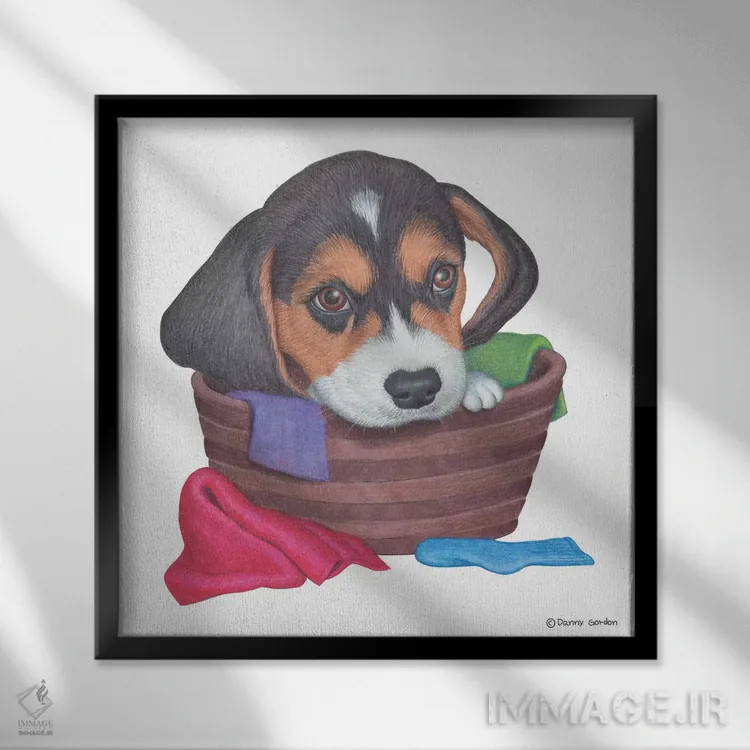 تابلو بیگل در سبد لباس اثر دنی گوردون - نمای قابدار مشکی