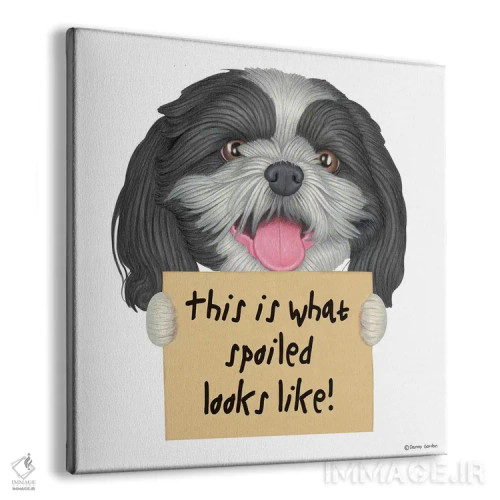 تابلو شیهتزو: مثل لوسها اثر دنی گوردون - نمای پرسپکتیو محصول