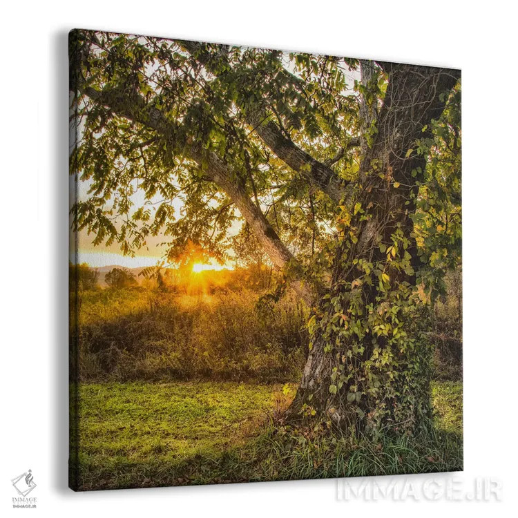 تابلو به پایان روز رساندن اثر دنی هد - نمای پرسپکتیو محصول