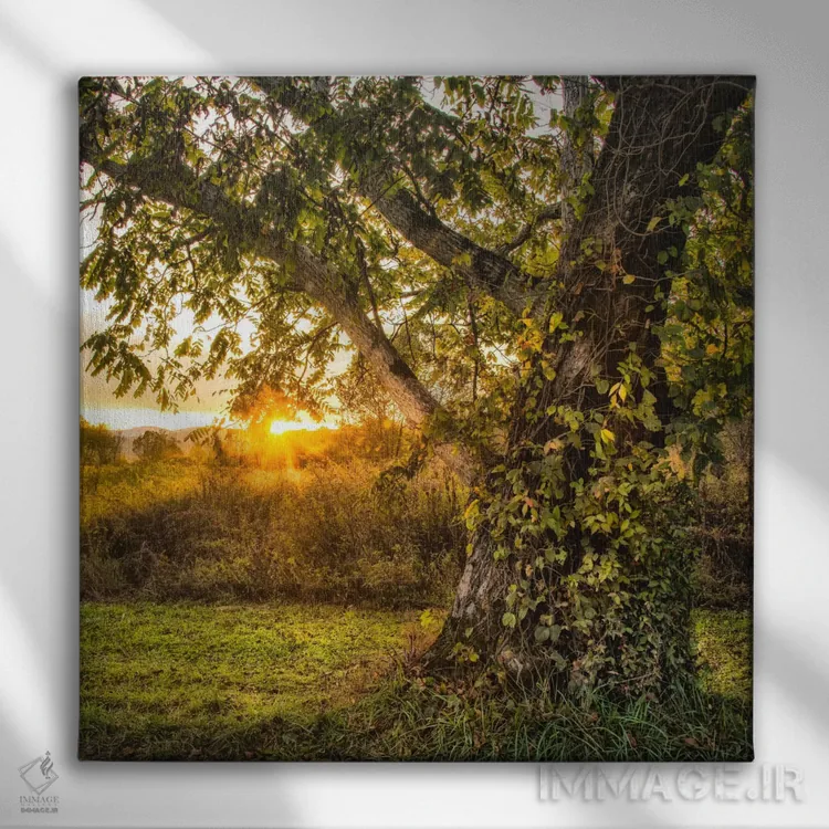 تابلو به پایان روز رساندن اثر دنی هد - نمای روبهرو روی دیوار