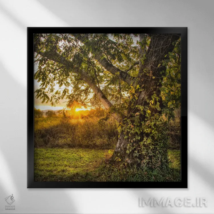 تابلو به پایان روز رساندن اثر دنی هد - نمای قابدار مشکی