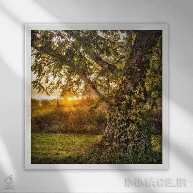 تابلو به پایان روز رساندن اثر دنی هد - نمای قابدار سفید