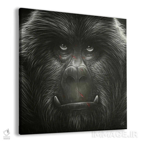 تابلو کونگ! اثر دکتر لوکاس برژاک - نمای پرسپکتیو محصول