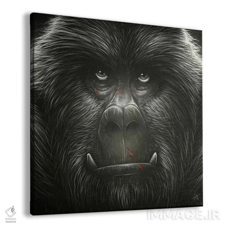 تابلو کونگ! اثر دکتر لوکاس برژاک - نمای پرسپکتیو محصول