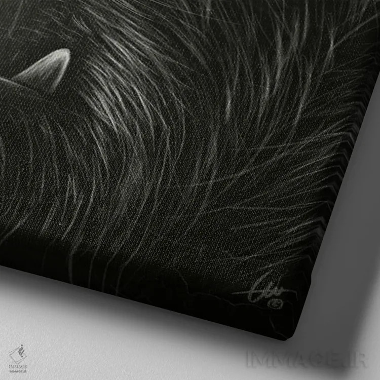 تابلو کونگ! اثر دکتر لوکاس برژاک - نمای نزدیک بافت بوم