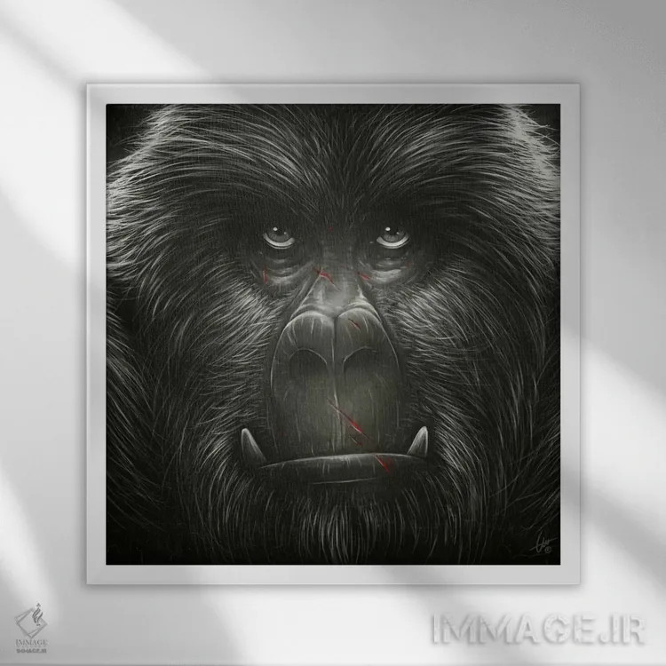 تابلو کونگ! اثر دکتر لوکاس برژاک - نمای قابدار سفید