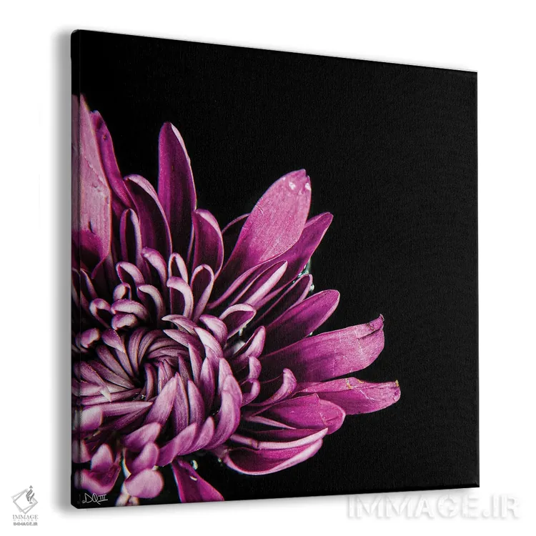 تابلو عشق در هم تنیده I اثر دانی کوئلن - نمای پرسپکتیو محصول