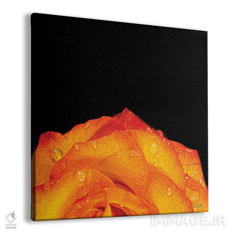 تابلو گلبرگهای نارنجی اثر دانی کوئلن - نمای پرسپکتیو محصول