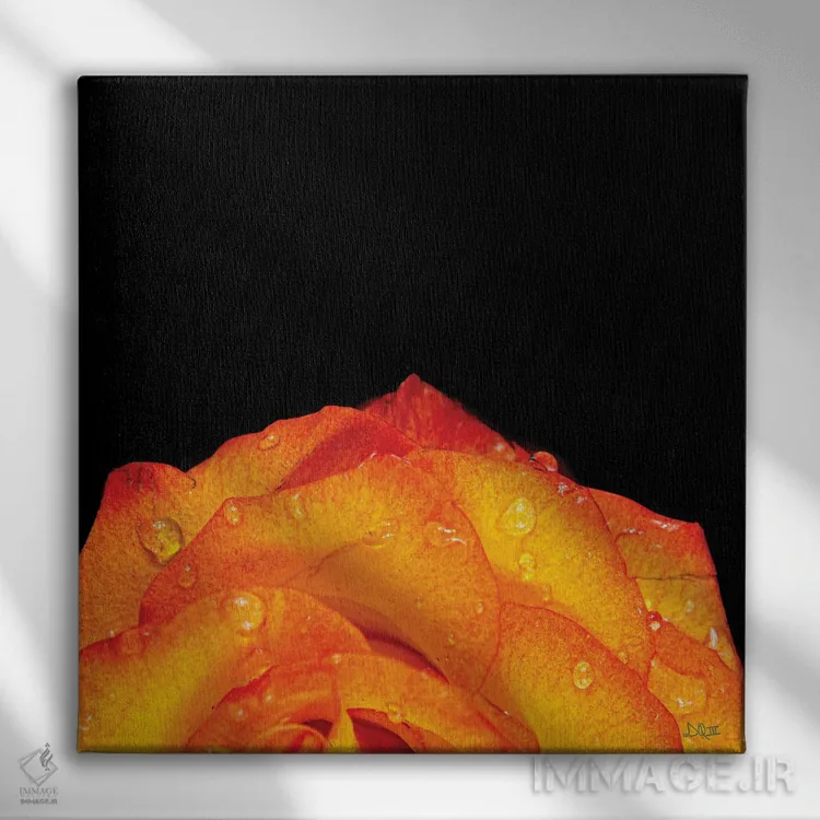 تابلو گلبرگهای نارنجی اثر دانی کوئلن - نمای روبهرو روی دیوار