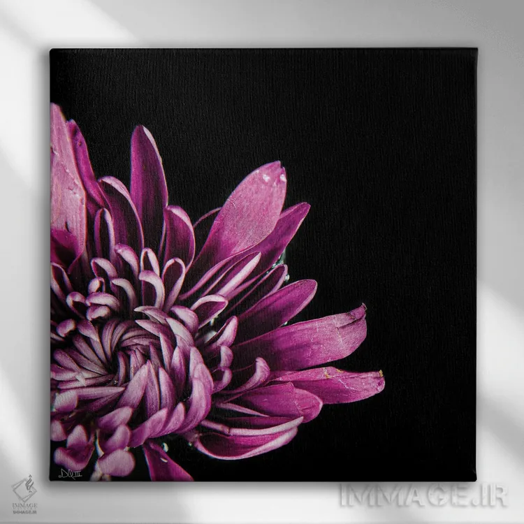 تابلو عشق در هم تنیده I اثر دانی کوئلن - نمای روبهرو روی دیوار