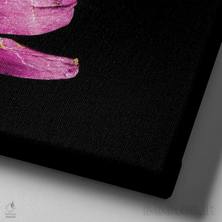 تابلو عشق در هم تنیده I اثر دانی کوئلن - نمای نزدیک بافت بوم