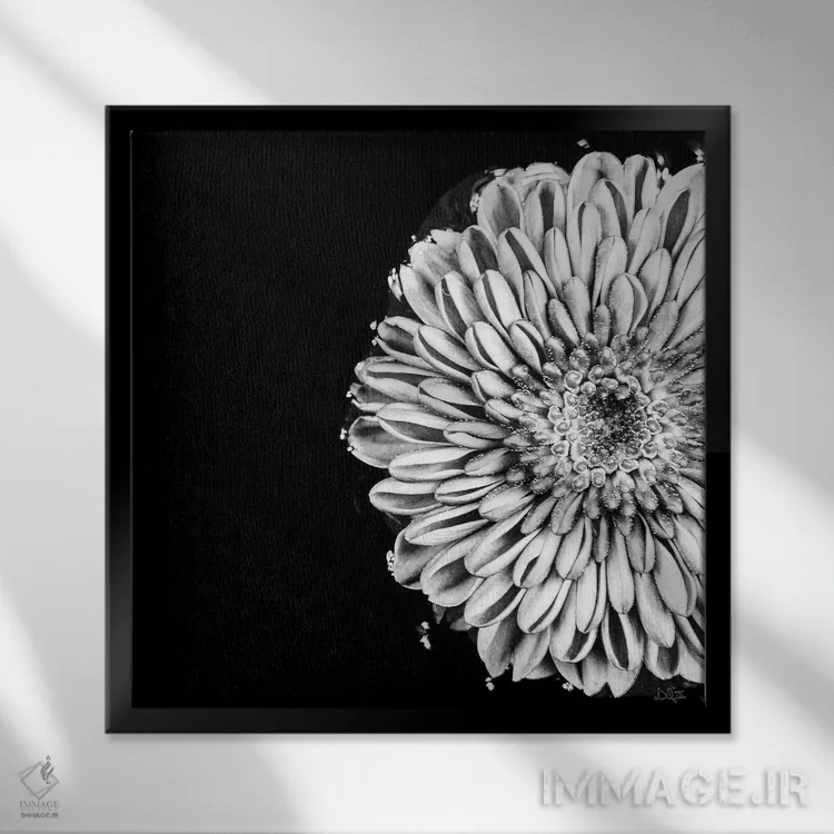 تابلو عشق سیاه و سفید II اثر دانی کوئلن - نمای قابدار مشکی