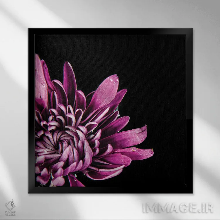 تابلو عشق در هم تنیده I اثر دانی کوئلن - نمای قابدار مشکی