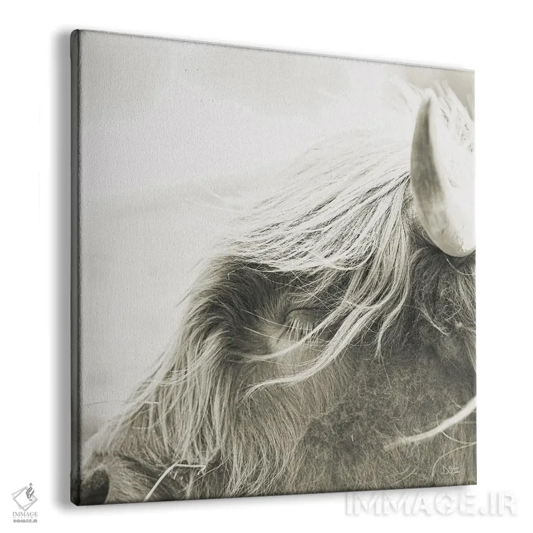 تابلو چشمک زدن اثر دانی کوئلن - نمای پرسپکتیو محصول