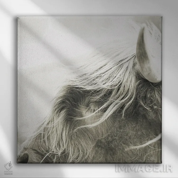 تابلو چشمک زدن اثر دانی کوئلن - نمای روبهرو روی دیوار