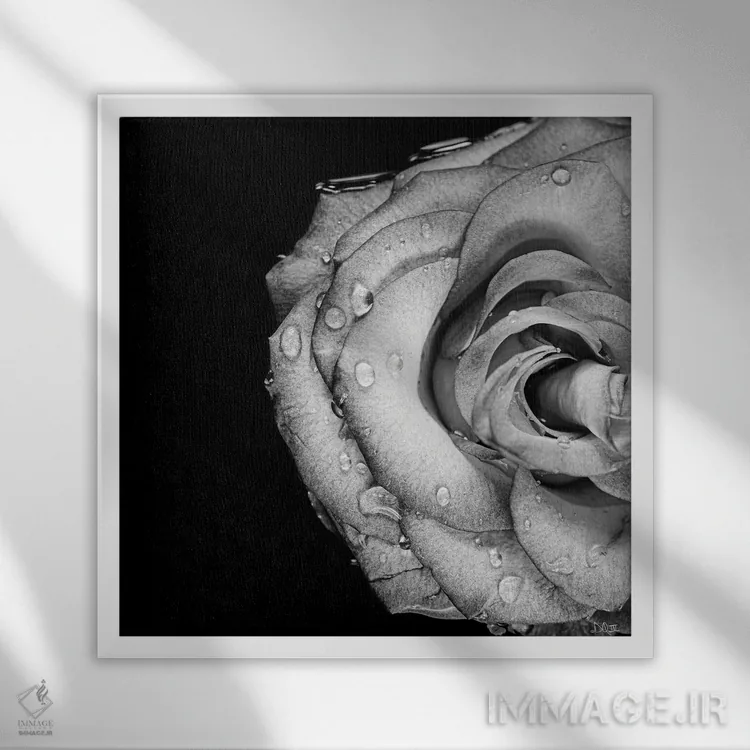 تابلو عشق گمشده اثر دانی کوئلن - نمای قابدار سفید