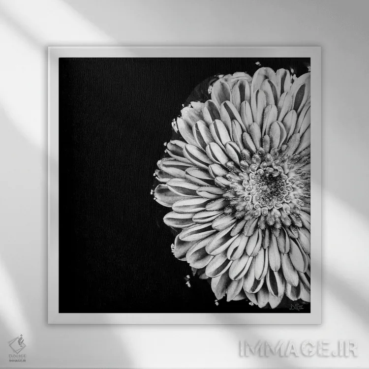 تابلو عشق سیاه و سفید II اثر دانی کوئلن - نمای قابدار سفید