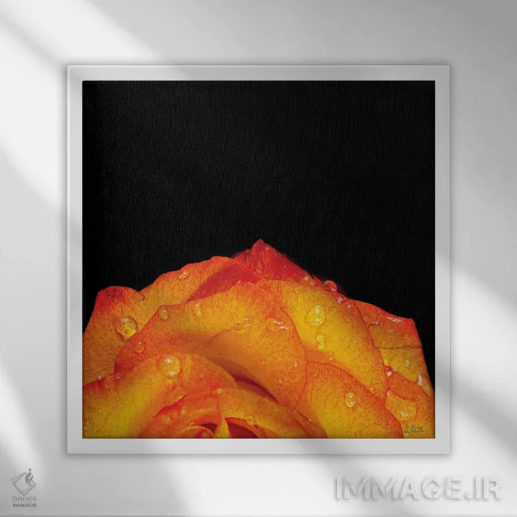 تابلو گلبرگهای نارنجی اثر دانی کوئلن - نمای قابدار سفید