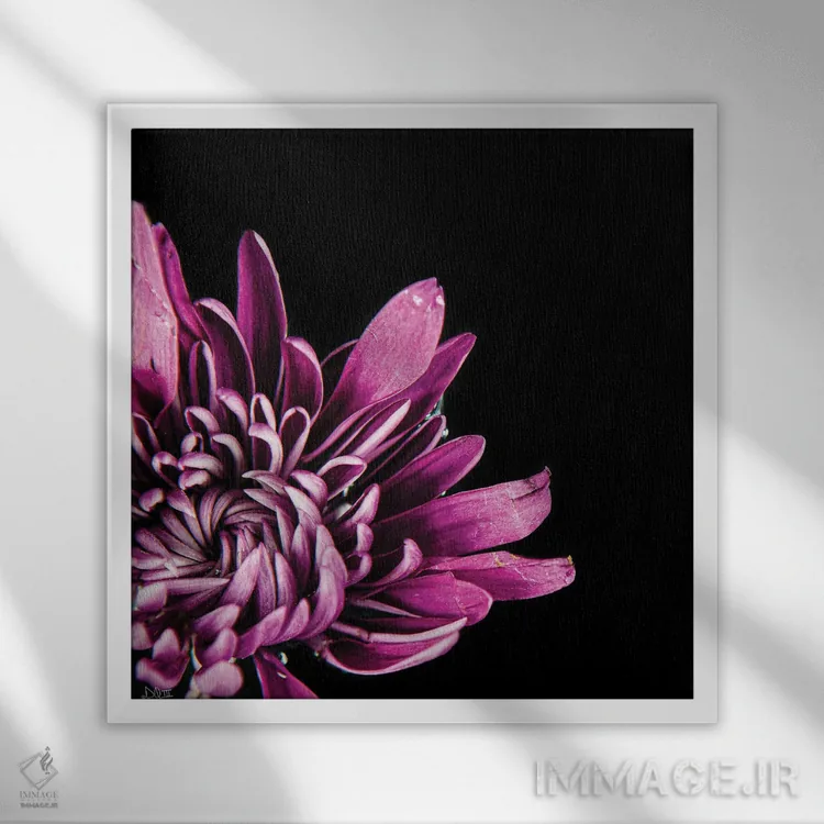 تابلو عشق در هم تنیده I اثر دانی کوئلن - نمای قابدار سفید