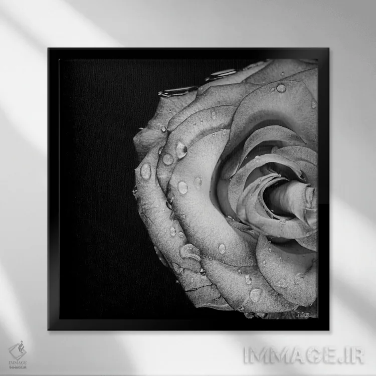 تابلو عشق گمشده اثر دانی کوئلن - نمای قابدار مشکی