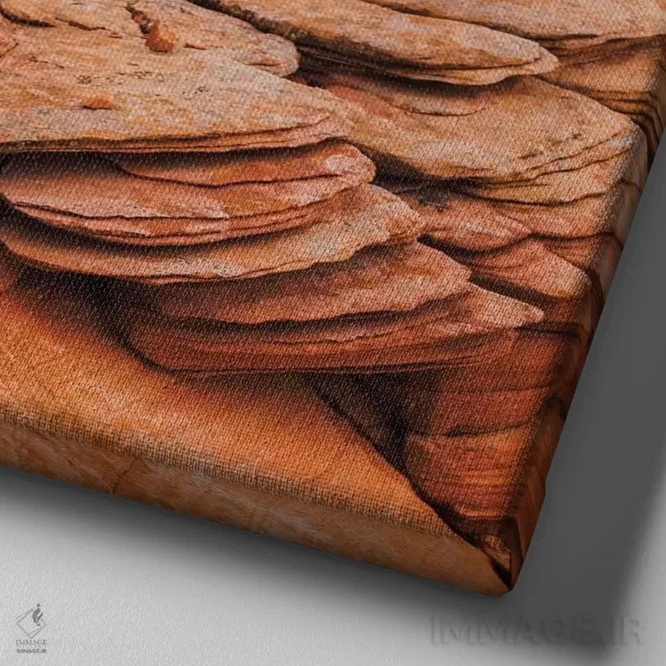 تابلو تشکلهای ماسهسنگ، یانت فلت، یوتا، آمریکا اثر دان پاولسون - نمای نزدیک بافت بوم