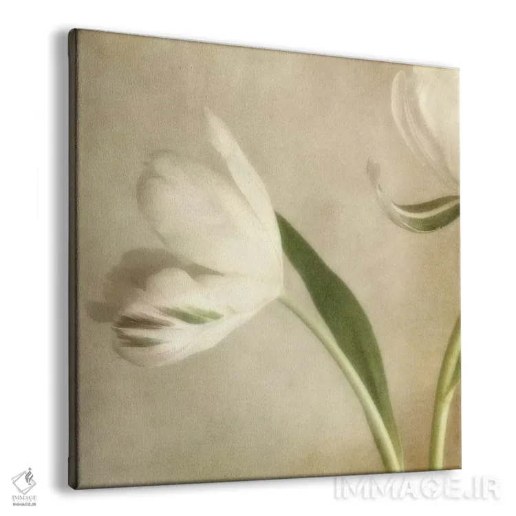 تابلو شکوفهٔ عاجی II اثر دیان پوینسکی - نمای پرسپکتیو محصول