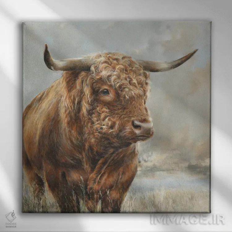 تابلو گاو وحشی صحرایی اثر باورا پرژوگینا - نمای روبهرو روی دیوار