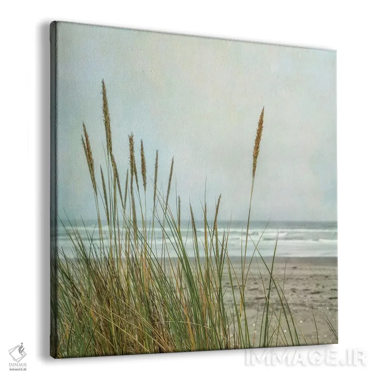 تابلو تپههای شنی ساحل شمالی II اثر دیان پوینسکی - نمای پرسپکتیو محصول