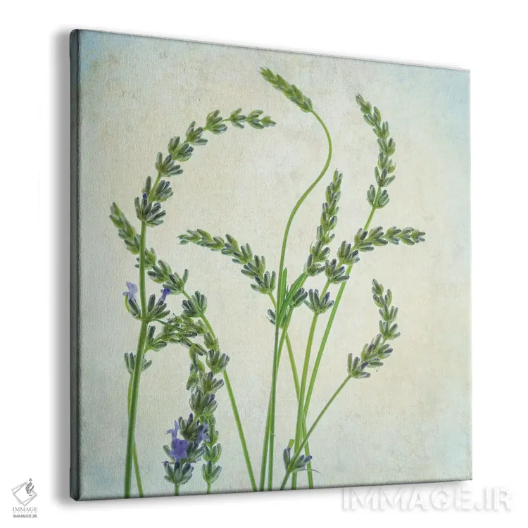 تابلو اسطوخودوس I اثر دیان پوینسکی - نمای پرسپکتیو محصول