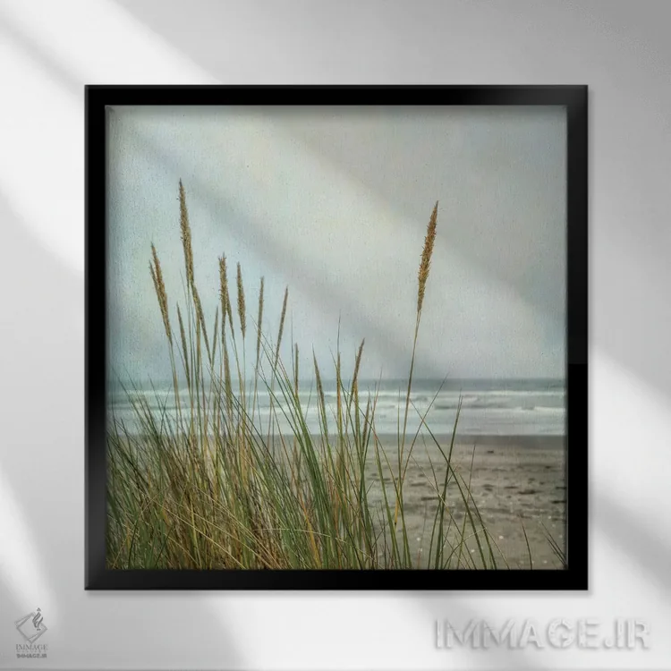 تابلو تپههای شنی ساحل شمالی II اثر دیان پوینسکی - نمای قابدار مشکی