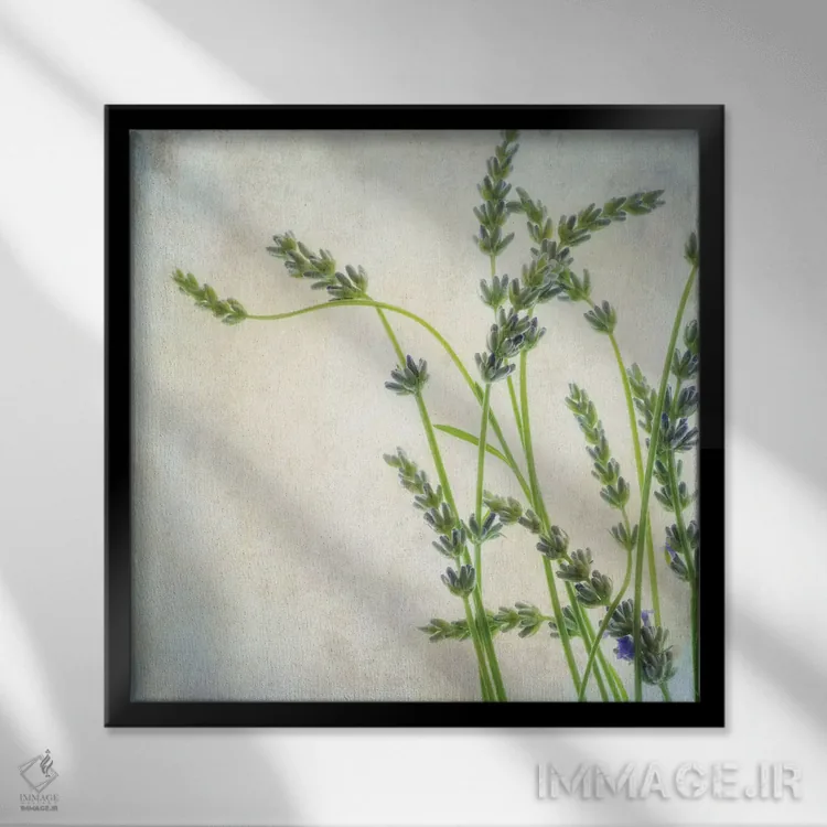 تابلو اسطوخودوس II اثر دیان پوینسکی - نمای قابدار مشکی