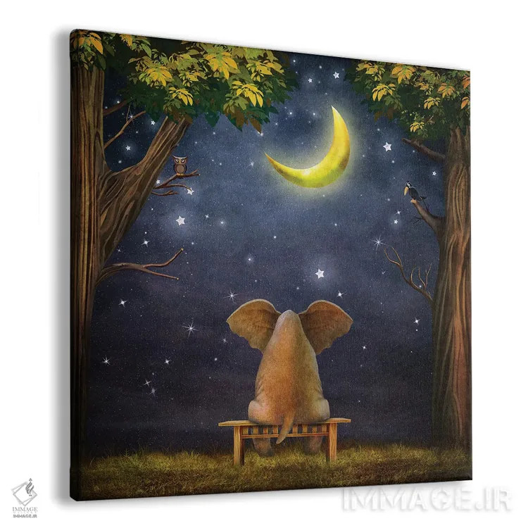 تابلو فیل روی نیمکت در جنگل شب اثر ناتامک - نمای پرسپکتیو محصول