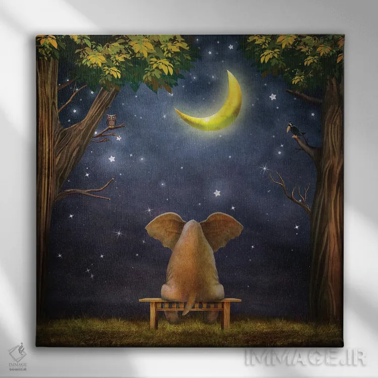 تابلو فیل روی نیمکت در جنگل شب اثر ناتامک - نمای روبهرو روی دیوار