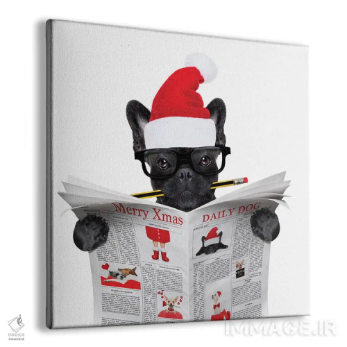 تابلو سگی که در تعطیلات کریسمس روزنامه میخواند اثر دَمِدیزو - نمای پرسپکتیو محصول