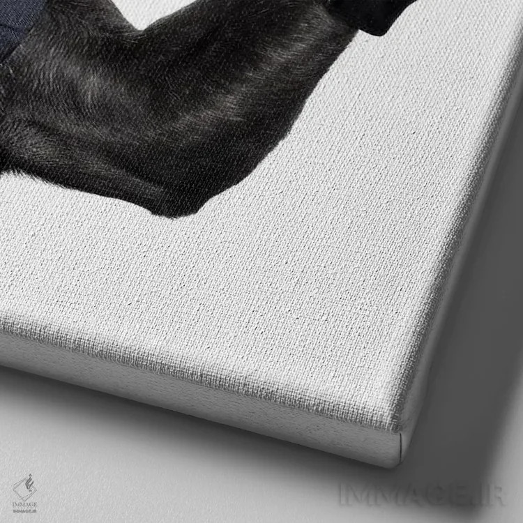 تابلو سگ و نوشیدنی کوکتیل اثر دَمِدیزو - نمای نزدیک بافت بوم