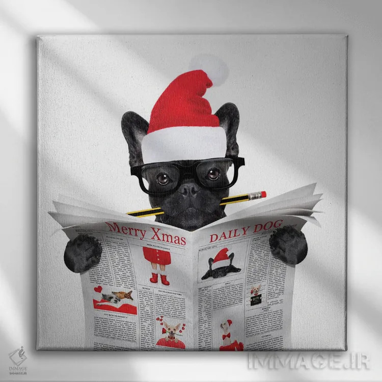 تابلو سگی که در تعطیلات کریسمس روزنامه میخواند اثر دَمِدیزو - نمای روبهرو روی دیوار