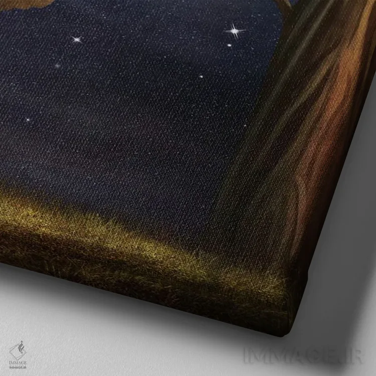 تابلو فیل روی نیمکت در جنگل شب اثر ناتامک - نمای نزدیک بافت بوم