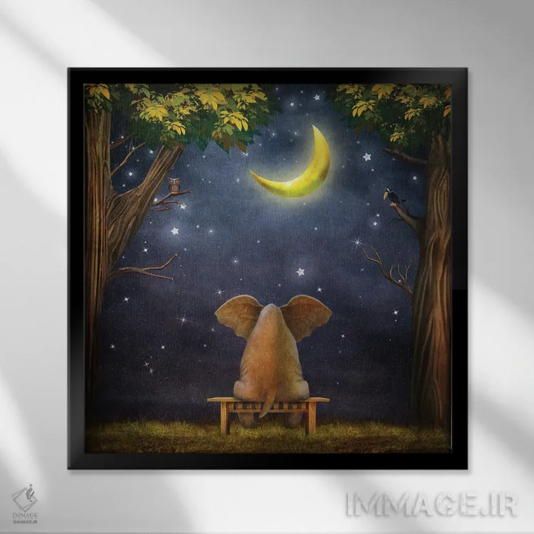 تابلو فیل روی نیمکت در جنگل شب اثر ناتامک - نمای قابدار مشکی