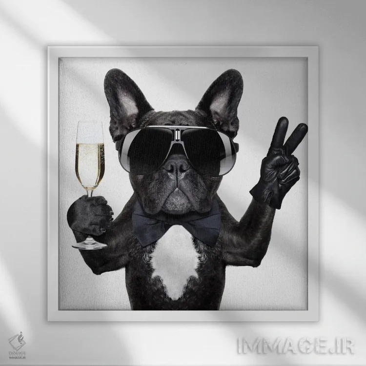 تابلو سگ و نوشیدنی کوکتیل اثر دَمِدیزو - نمای قابدار سفید