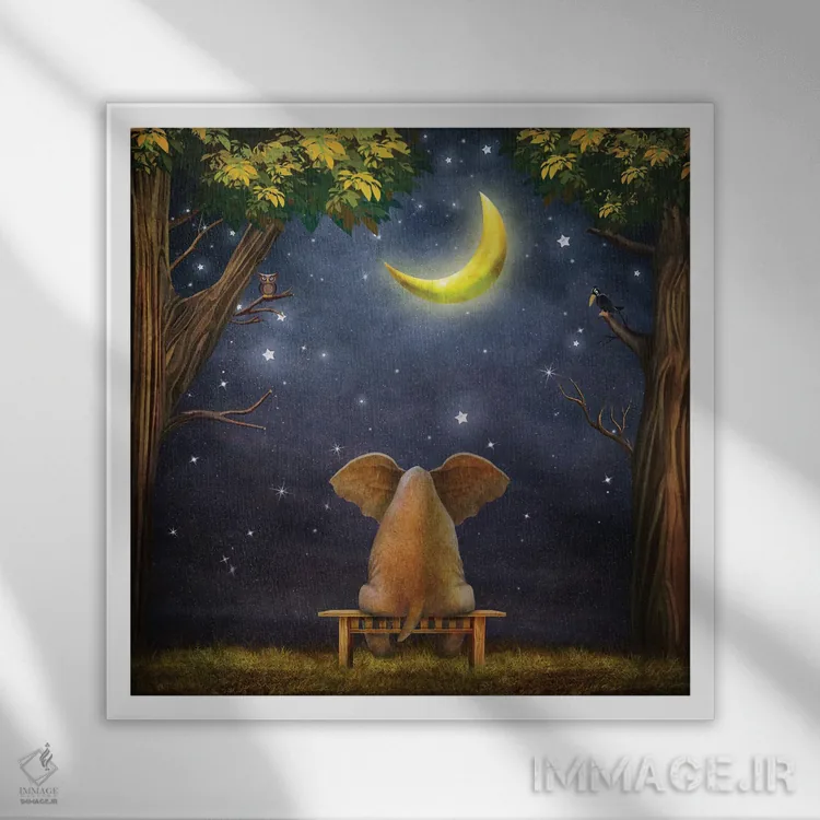 تابلو فیل روی نیمکت در جنگل شب اثر ناتامک - نمای قابدار سفید