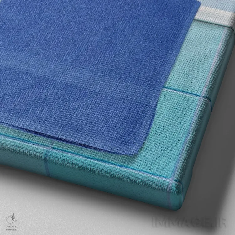 تابلو سگ در حمام II اثر دَمِدیزو - نمای نزدیک بافت بوم