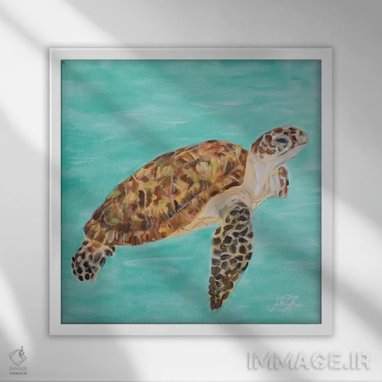 تابلو لاکپشت دریایی I اثر جولی دریسه - نمای قابدار سفید