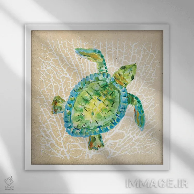 تابلو لاکپشت جانداران دریایی اثر جولی دریسه - نمای قابدار سفید