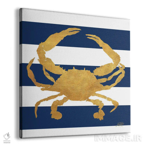 تابلو موجودات دریایی روی نوارها V اثر جولی دریسه - نمای پرسپکتیو محصول