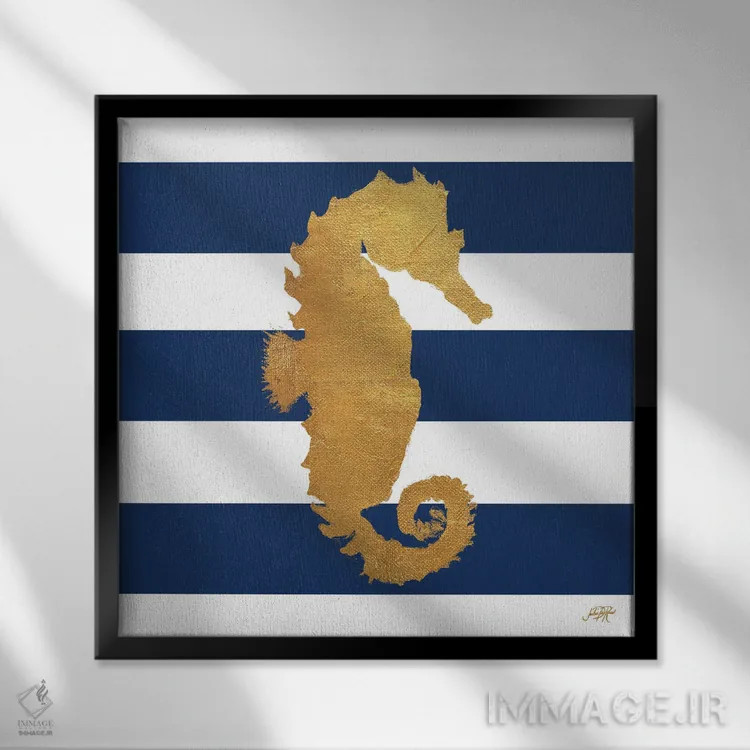 تابلو موجودات دریایی روی نوارها I اثر جولی دریسه - نمای قابدار مشکی