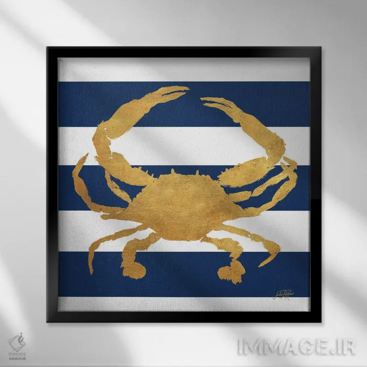 تابلو موجودات دریایی روی نوارها V اثر جولی دریسه - نمای قابدار مشکی