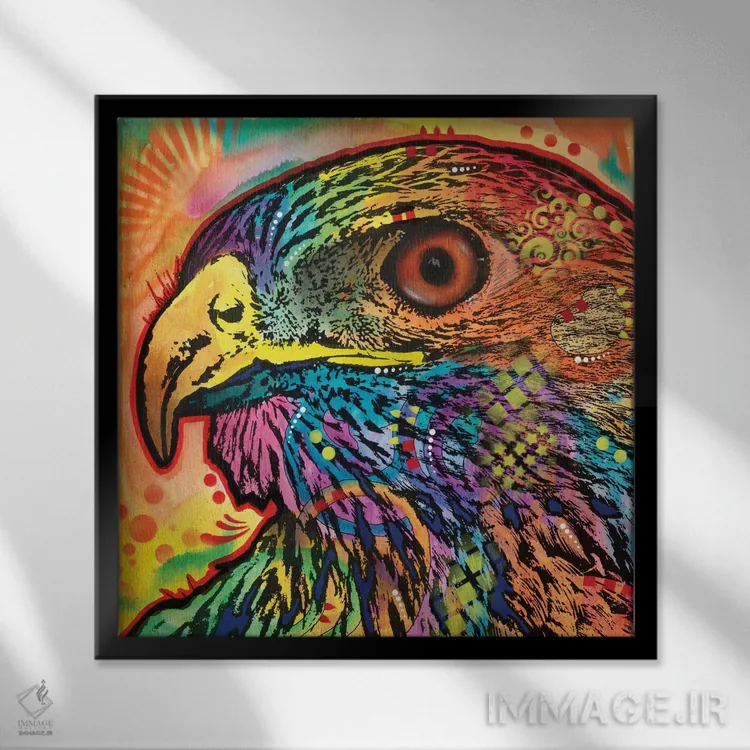 تابلو چشم شاهین اثر باور روسو - نمای قابدار مشکی