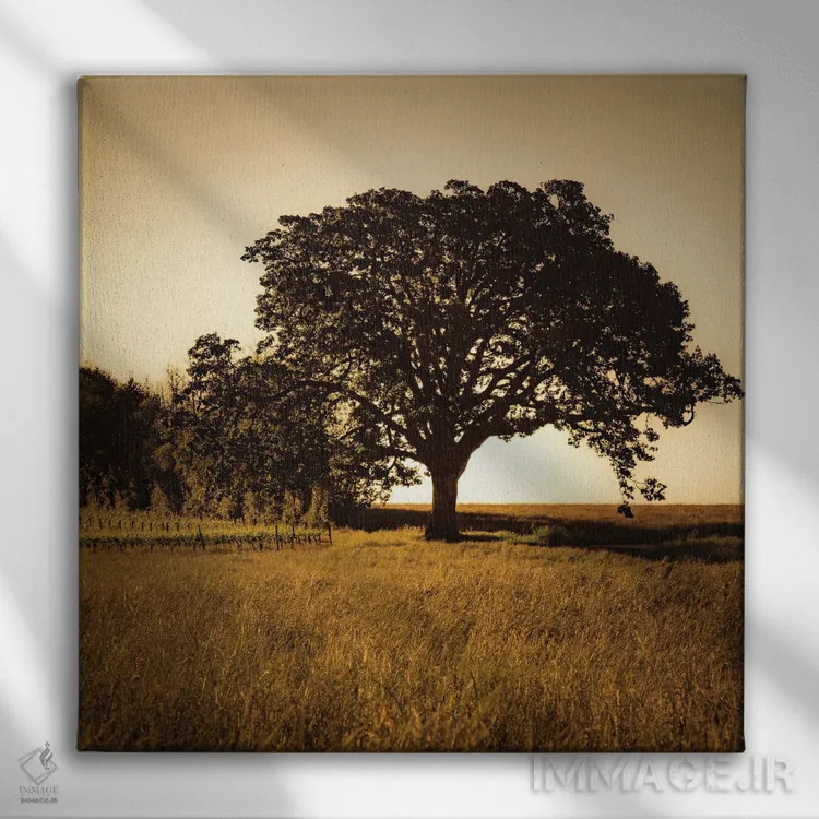 تابلو باشکوه اثر دان شوارتز - نمای روبهرو روی دیوار