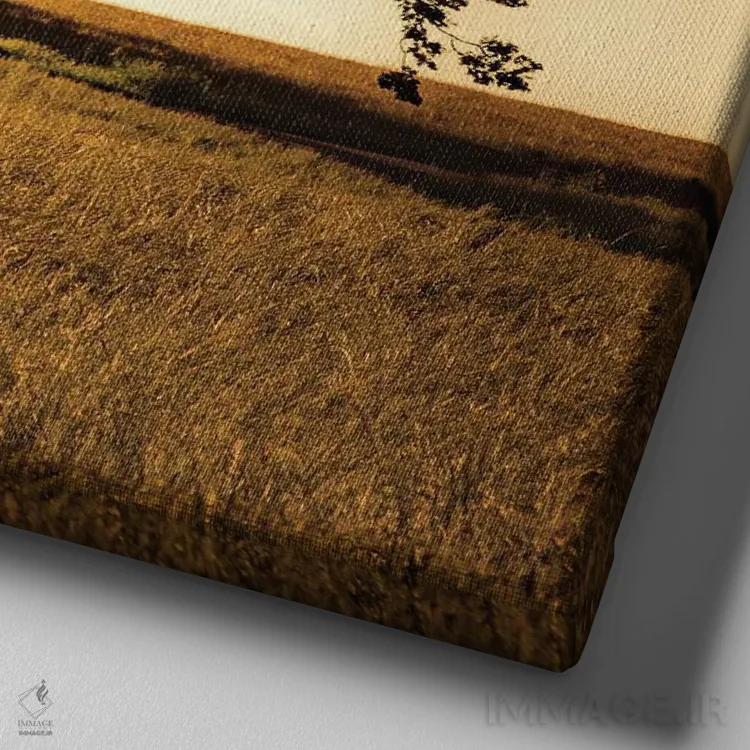 تابلو باشکوه اثر دان شوارتز - نمای نزدیک بافت بوم